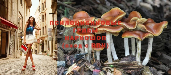 марки lsd Абаза